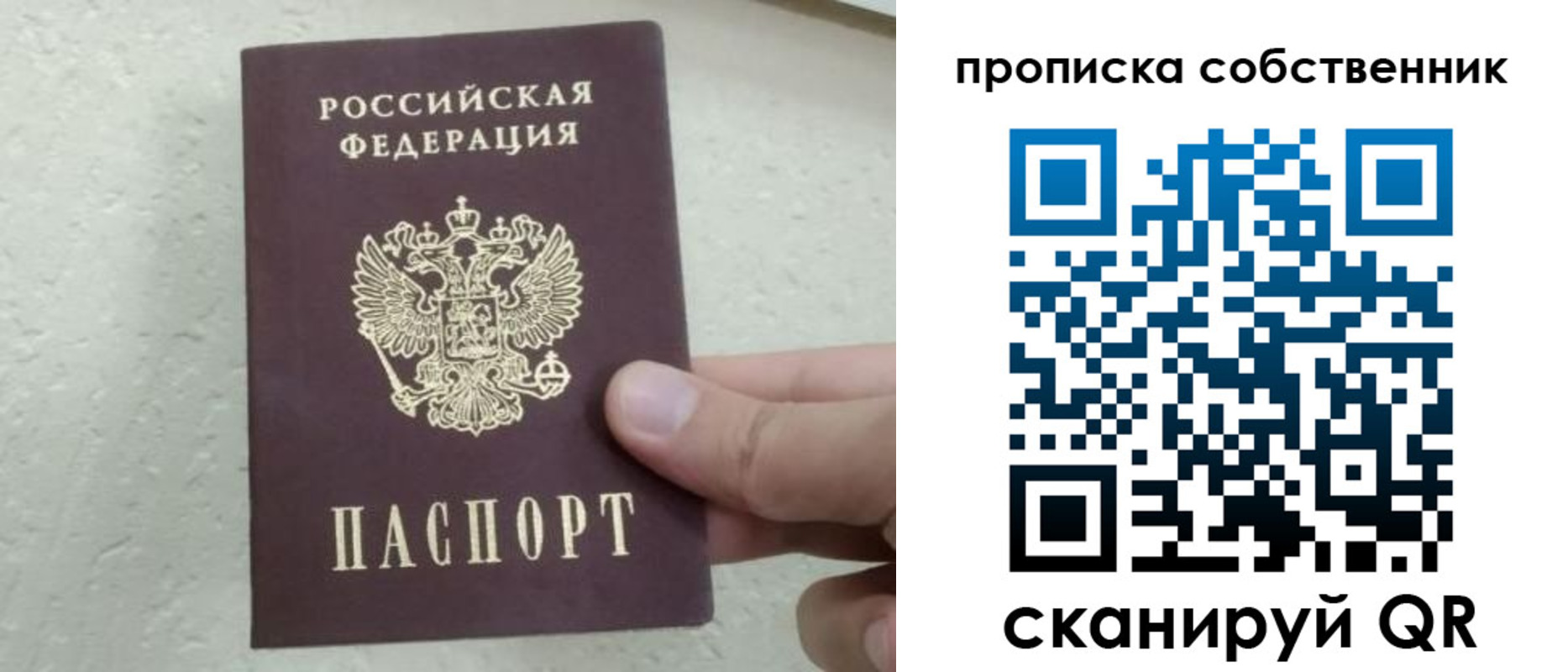 прописка от собственника в Курской области